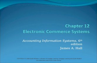JAMES A. HALL - Accounting Information System Chapter 12