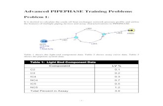 Advanced PipePhase Problem