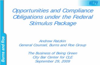 Opportunities and Compliance Obligations under the Federal Stimulus Package