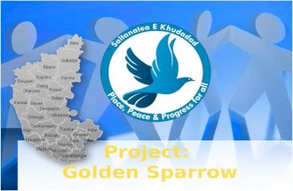 Project golden sparrow ( Creating a Model Village)