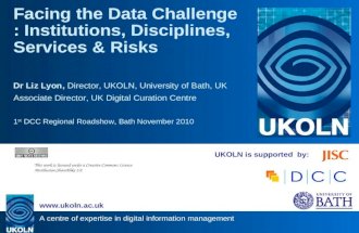 Facing the Data Challenge: Institutions, Disciplines, Services and Risks