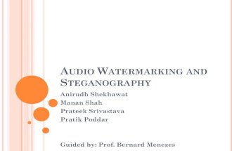 Audio Watermarking and Steganography