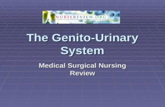 genito urinary system