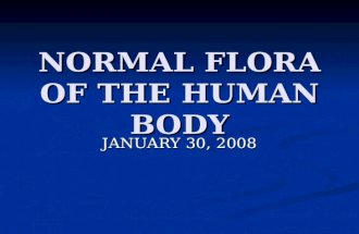 NORMAL FLORA OF THE HUMAN BODY