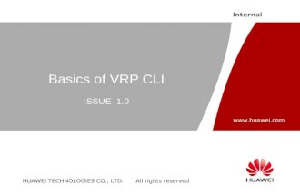 Basics of Vrp Cli Issue1