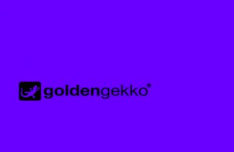 Golden Gekko general presentation Dec 2011