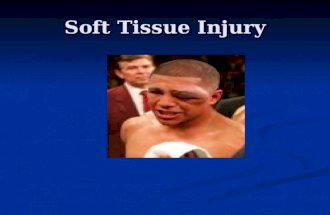 Paramedic  Soft Tissue Injury