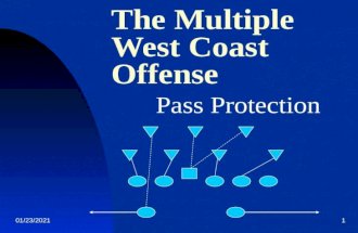 Pass Protection in Them