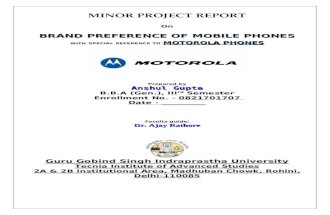 Minor Project Report for Bba 3rd Sem