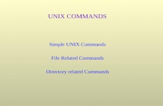 Unix Commands