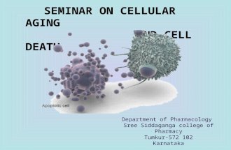 Cell Aging & Cell Death