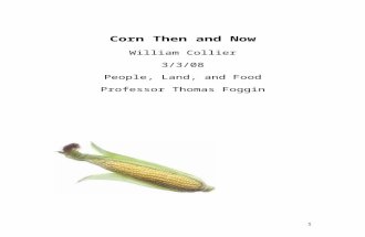 Corn Then and Now