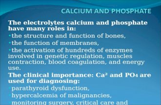 Calcium and Phosphate (2)