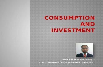Consumption and Investment Function