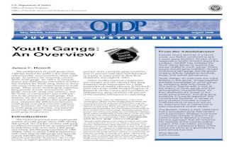Youth Gangs — an overview (OJJDP)