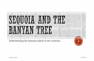 Sequoia and the Banyan tree