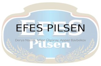 Efes Pilsen's Strategic Analysis
