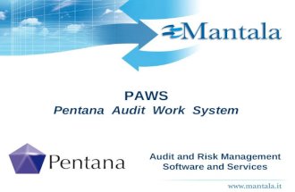 PAWS - Pentana Audit Work System software
