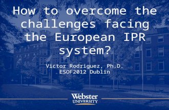 How to overcome the challenges facing the European IPR system?