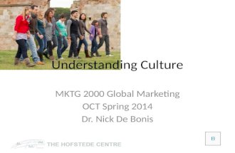 Understanding Global Culture: Hofstede's Indeces Overview