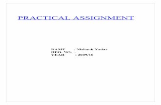 Practical Assignment