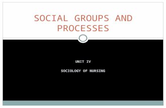 Social groups and processes