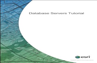database-servers-tutorial