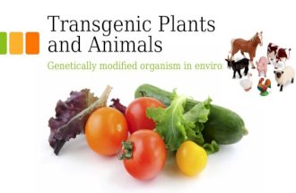 Transgenic Plants and Animals