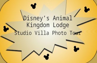 Animal kingdom Lodge Photo Tour