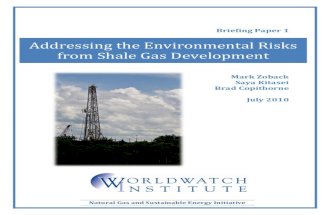 Addressing the Environmental Risks from Shale Gas Development