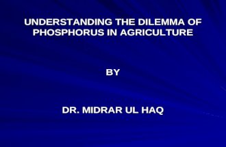 Phosphorus in agriculture