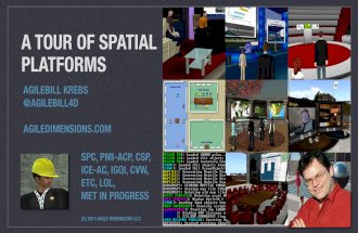 A Short Tour of Spatial Platforms