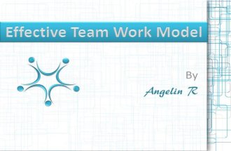 Effective Team Work Model