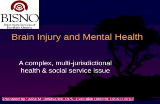 Brain injury and mental health 2010[1].pptx bisno