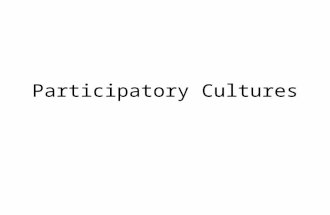 Participatory Cultures