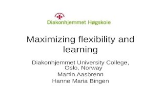Maximizing flexibility and learning   Aasbrenn M-2009 ICDE2009