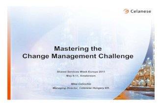 Mastering the Change Management Challenge