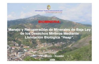 Manejo Y RecuperacióN De Minerales De Baja Ley De Los Desechos Mineros Mediante