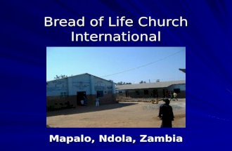 Bread of Life - Mapalo