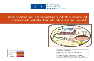 International comparison of the state of Internet safety for children and youth