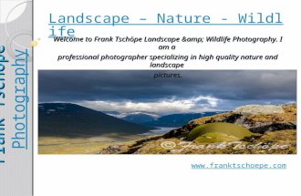 Landscape Photography | Wildlife Photography