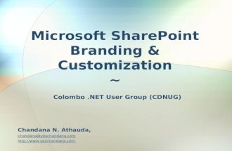 Microsoft Share Point Branding & Customization
