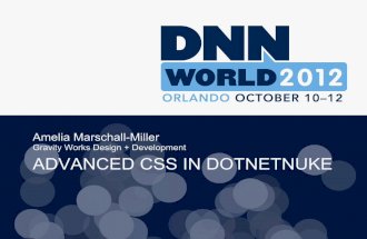 DotNetNuke World CSS3