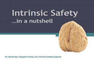 Intrinsic Safety in a Nutshell by Pepperl+Fuchs