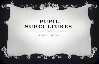 Pupil subcultures