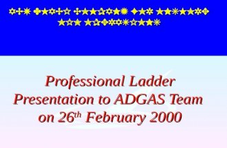 Profissional Ladder Presentation4