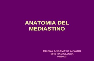 Anatomia Del Mediastino