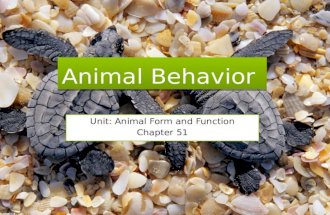 Animal Behavior Concept Review