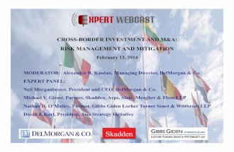 Cross-Border Investment & M&A: Risk Management and Mitigation