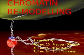 Presentation  chromatin remodelling
